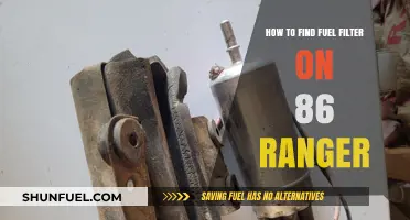 Locating the Fuel Filter in Your 86 Ranger