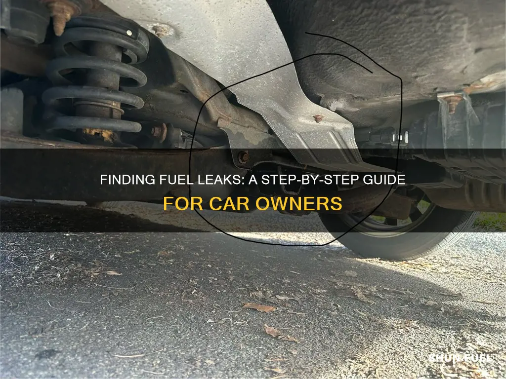 how to find fuel leak in car