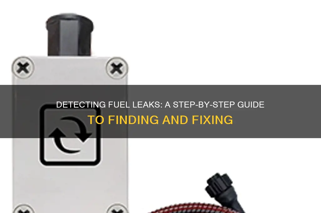how to find fuel leak