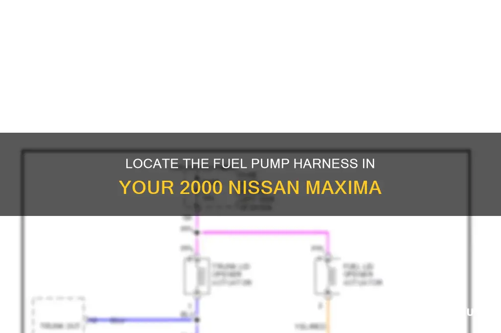 how to find fuel pump harness in 2000 nissan maxima