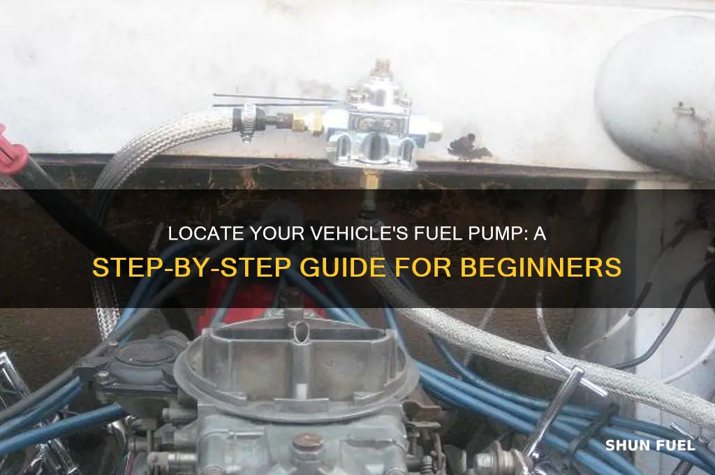 how to find fuel pump