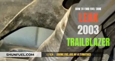 Finding Fuel Tank Leaks in Your 2003 Trailblazer