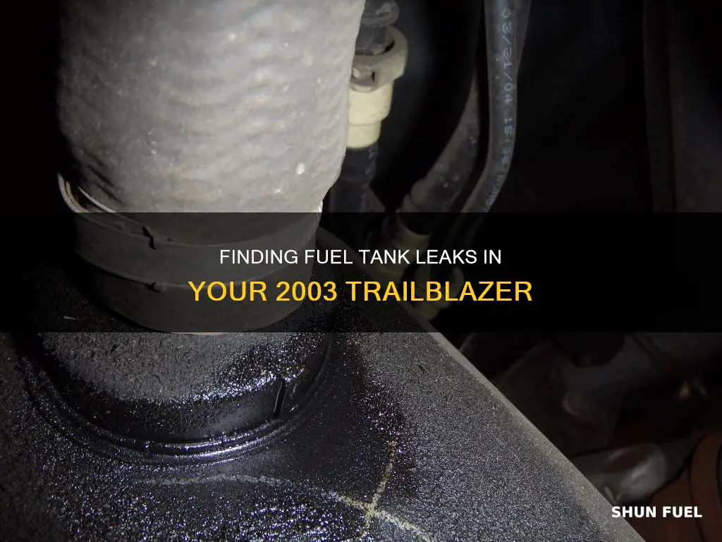 how to find fuel tank leak 2003 trailblazer