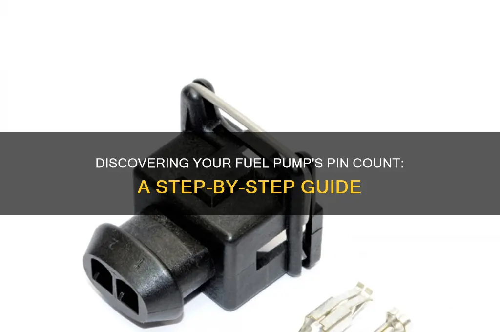 how to find out how many pins my fuel pump