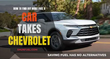 Chevrolet Car Fuel: What Type and How to Find?