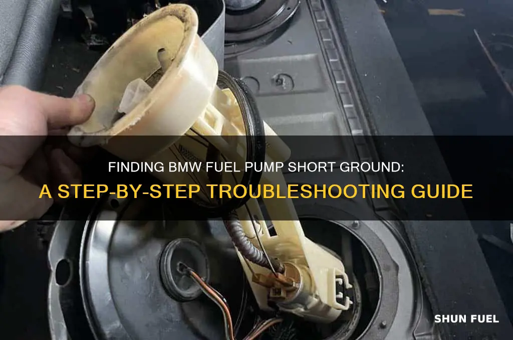 how to find short ground to fuel pump bmw