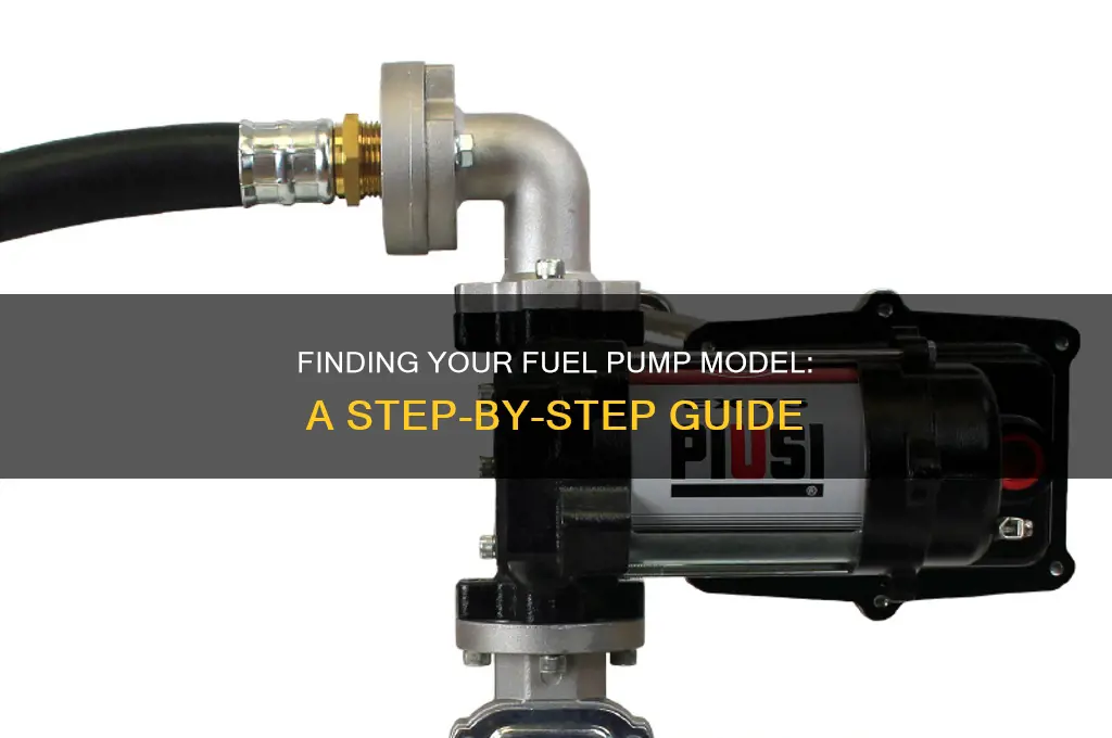 how to find the fuel pump model