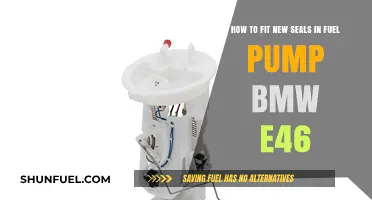 BMW E46 Fuel Pump Seal Replacement: Step-by-Step Guide