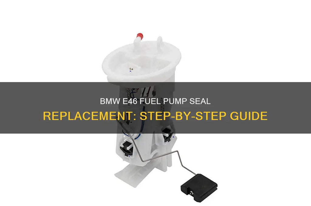 how to fit new seals in fuel pump bmw e46