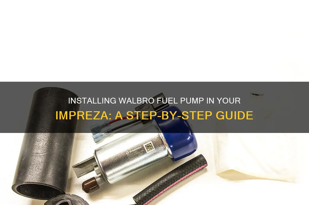 how to fit walbro fuel pump impreza