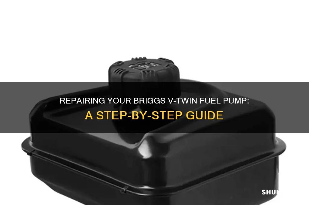 how to fix a briggs v-twin fuel pump