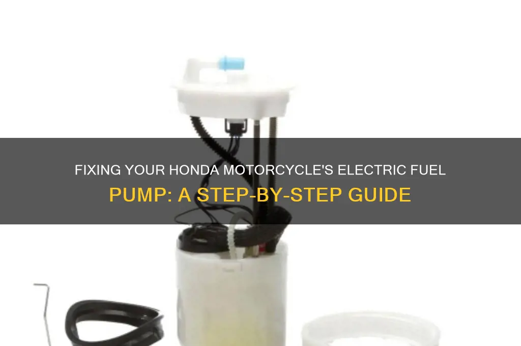 how to fix a electric fuel pump on hona motorcycle