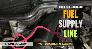 Fixing a Leaking Audi Fuel Supply Line: A Step-by-Step Guide