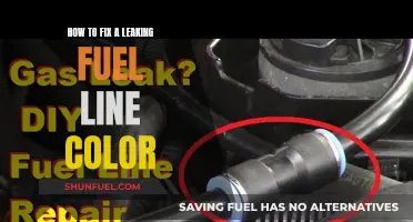 Fixing a Fuel Line Leak: A Color-Coded Guide