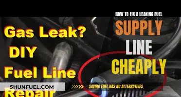 Leaky Fuel Line? Quick, Easy, and Affordable Fixes!