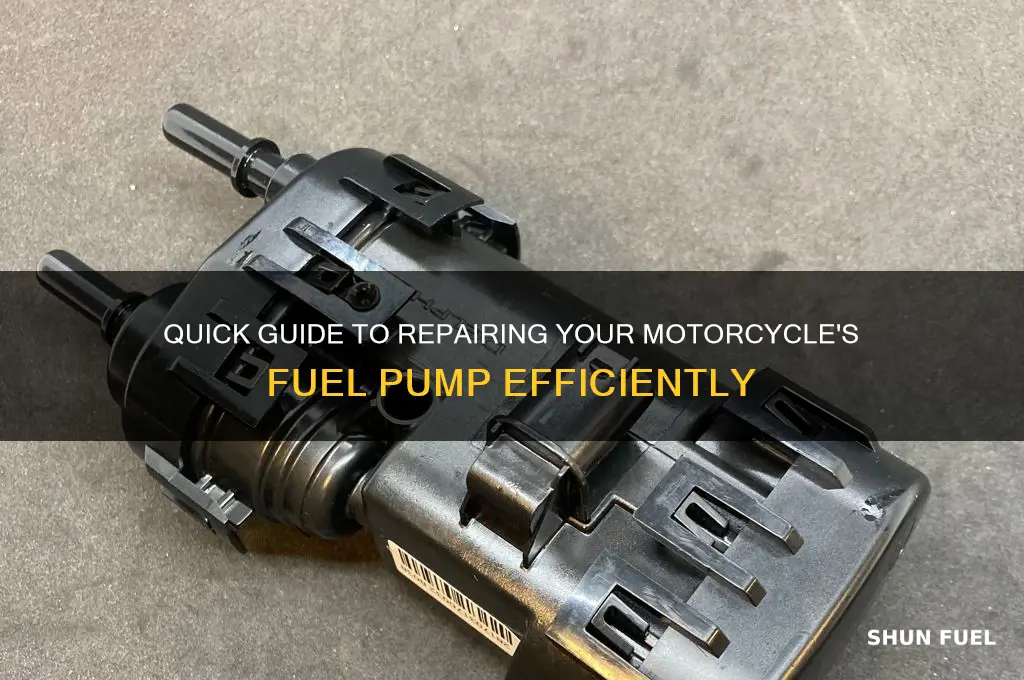 how to fix a motorcycle fuel pump