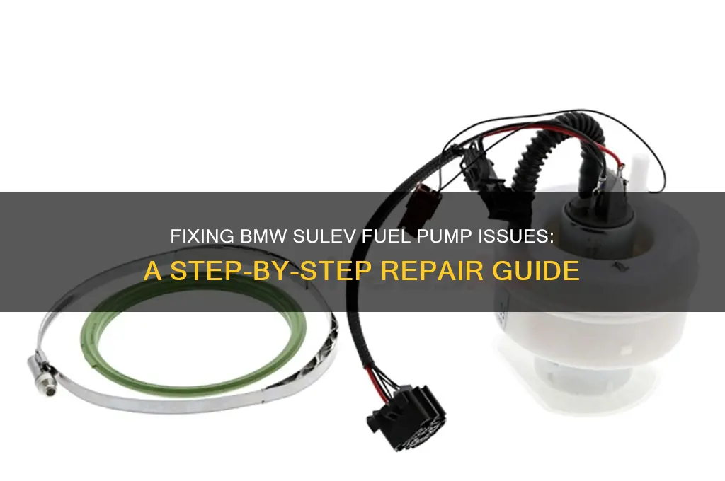 how to fix a sulev fuel pump bmw