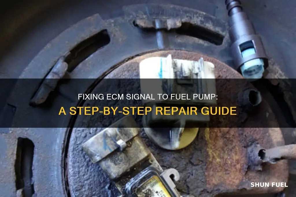 how to fix ecm signal to fuel pump
