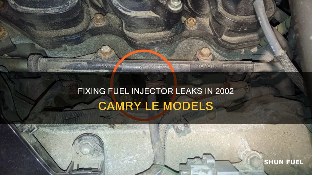 how to fix fuel injectors leak on 2002 camry le