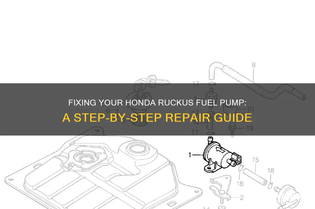 how to fix honda ruckus fuel pump