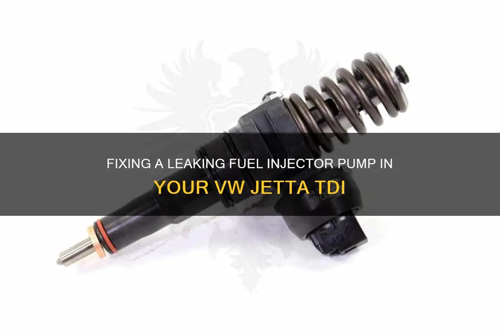 how to fix leaking fuel injector pump vw jetta tdi