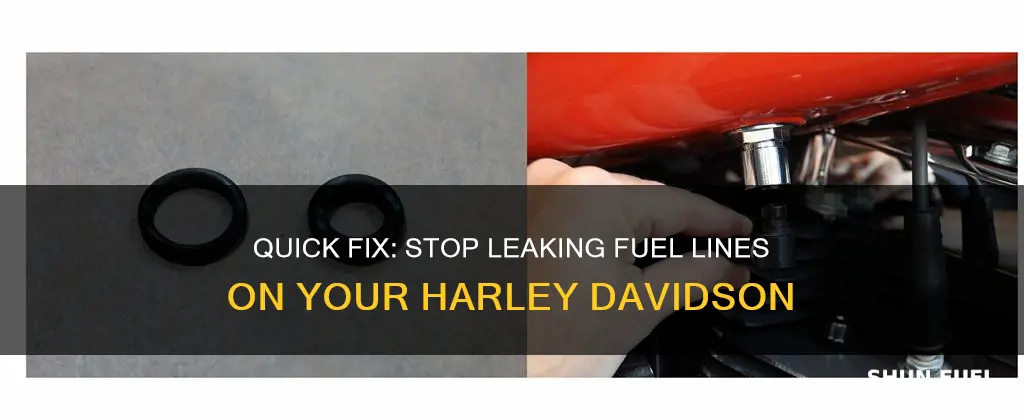 how to fix leaking fuel line on a harley davidson