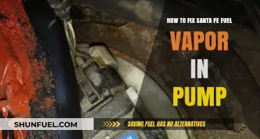 Fixing Santa Fe Fuel Vapor Pump Issues: A Step-by-Step Guide