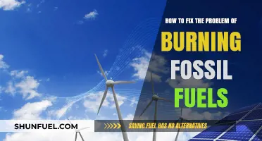 Sustainable Solutions: Ending Fossil Fuel Dependence for a Greener Future