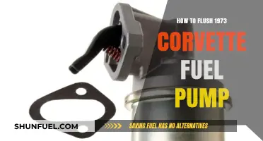 Flushing Your 1973 Corvette Fuel Pump: A Step-by-Step Guide