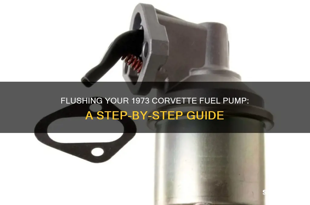 how to flush 1973 corvette fuel pump
