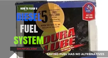 Flushing Your Diesel Fuel System: The Complete Guide