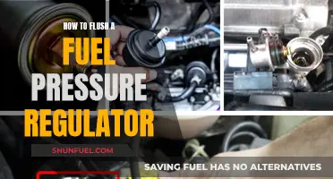 Flushing Fuel Pressure Regulators: A Step-by-Step Guide