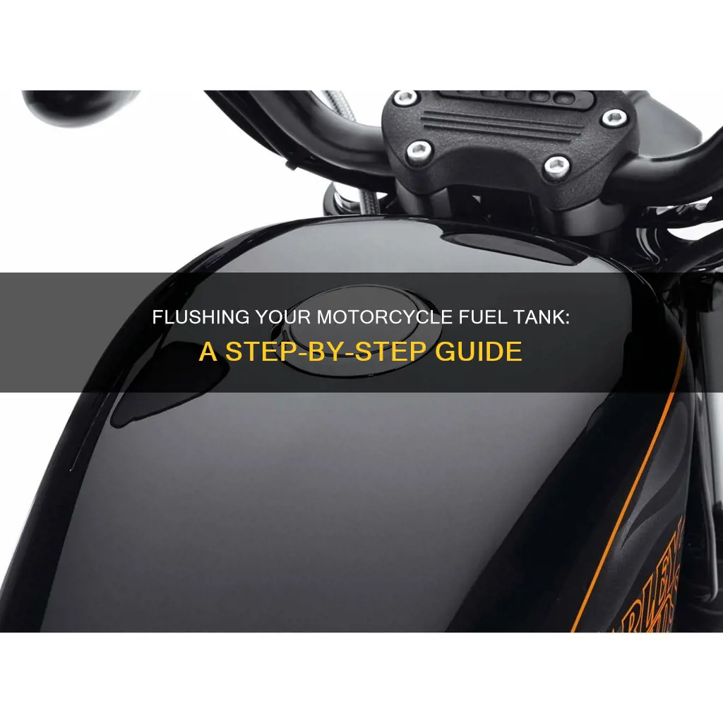 how to flush a motorcycle fuel tank