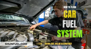 Car Fuel System Flush: A Step-by-Step Guide to a Clean Engine