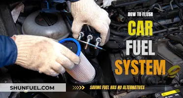 Flushing Your Car's Fuel System: A Step-by-Step Guide