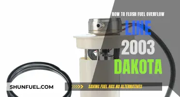 Flushing Fuel Overflow: A Step-by-Step Guide for 2003 Dakota Owners