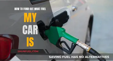 What Fuel Does My Car Take?