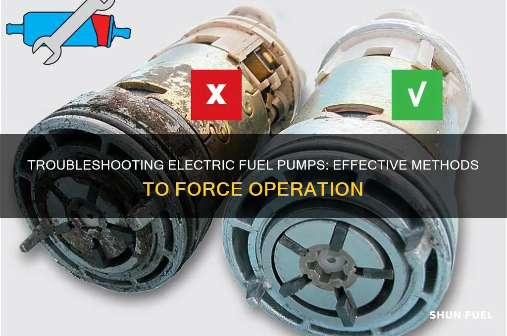 how to force an electric fuel pump to work