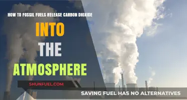 Fossil Fuels' Carbon Footprint: Unveiling Atmospheric CO2 Release Mechanisms