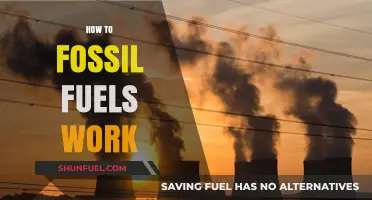 Understanding Fossil Fuels: How They Power Our World and Impact Earth