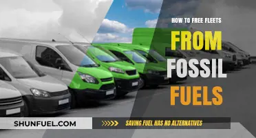 Sustainable Fleet Revolution: Strategies to Transition Beyond Fossil Fuels
