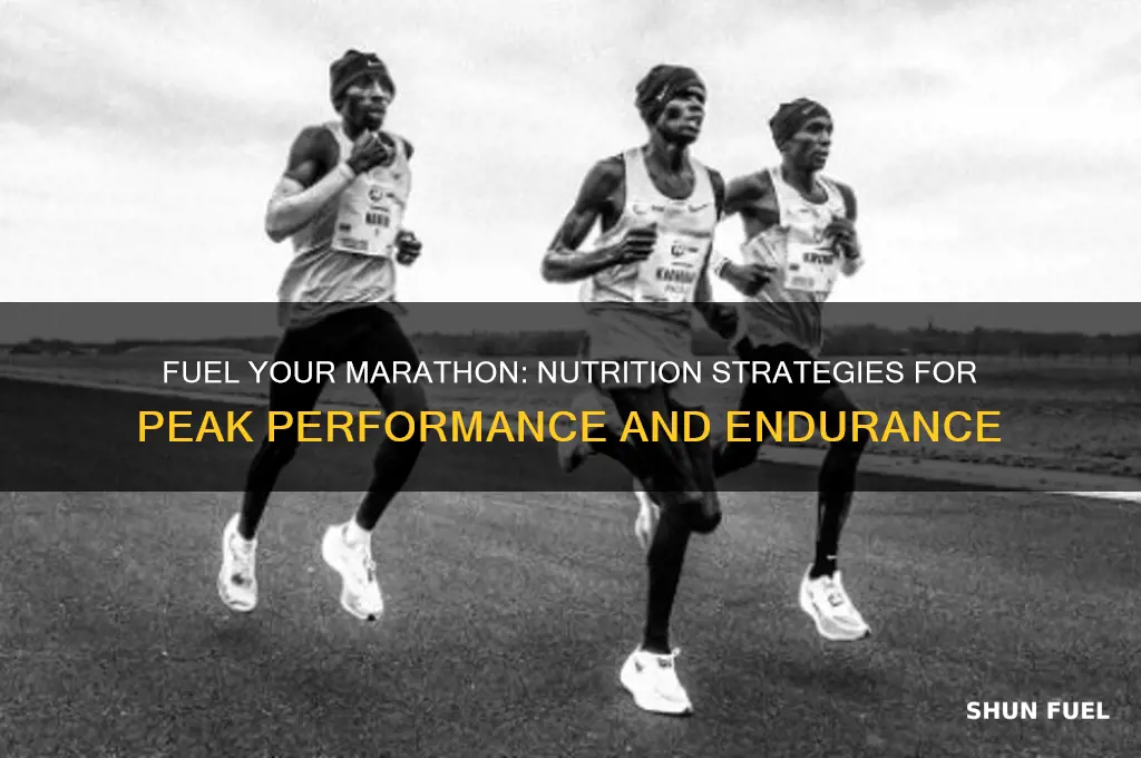 how to fuel a marathon