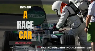 Fueling Race Cars: Strategies for Optimal Performance