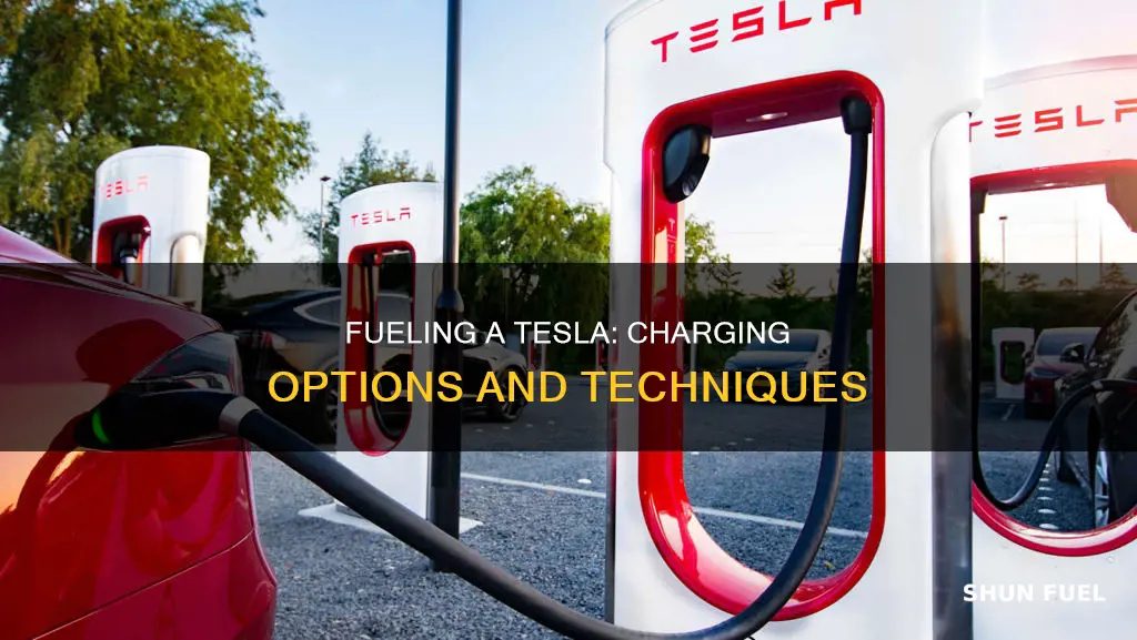 how to fuel a tesla car