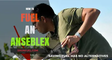 Mastering Ansiblex Fueling: Essential Tips for Optimal Performance and Efficiency
