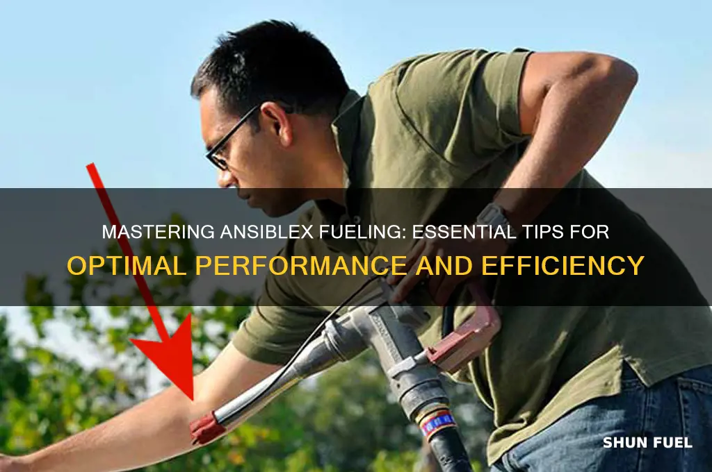 how to fuel an anseblex