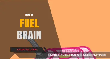 Boost Your Brain Power: Essential Tips to Fuel Cognitive Function