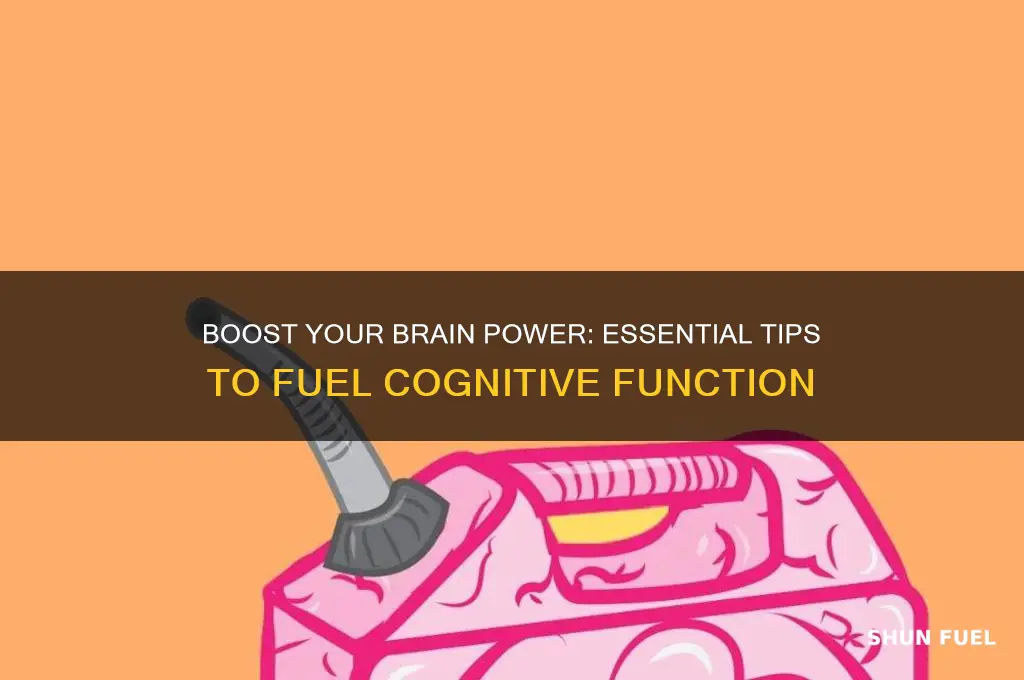 how to fuel brain
