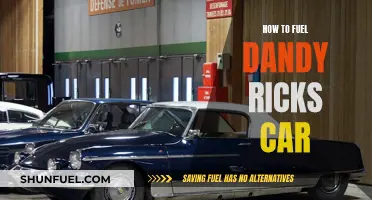 Fueling Dandy Rick's Car: A Step-by-Step Guide