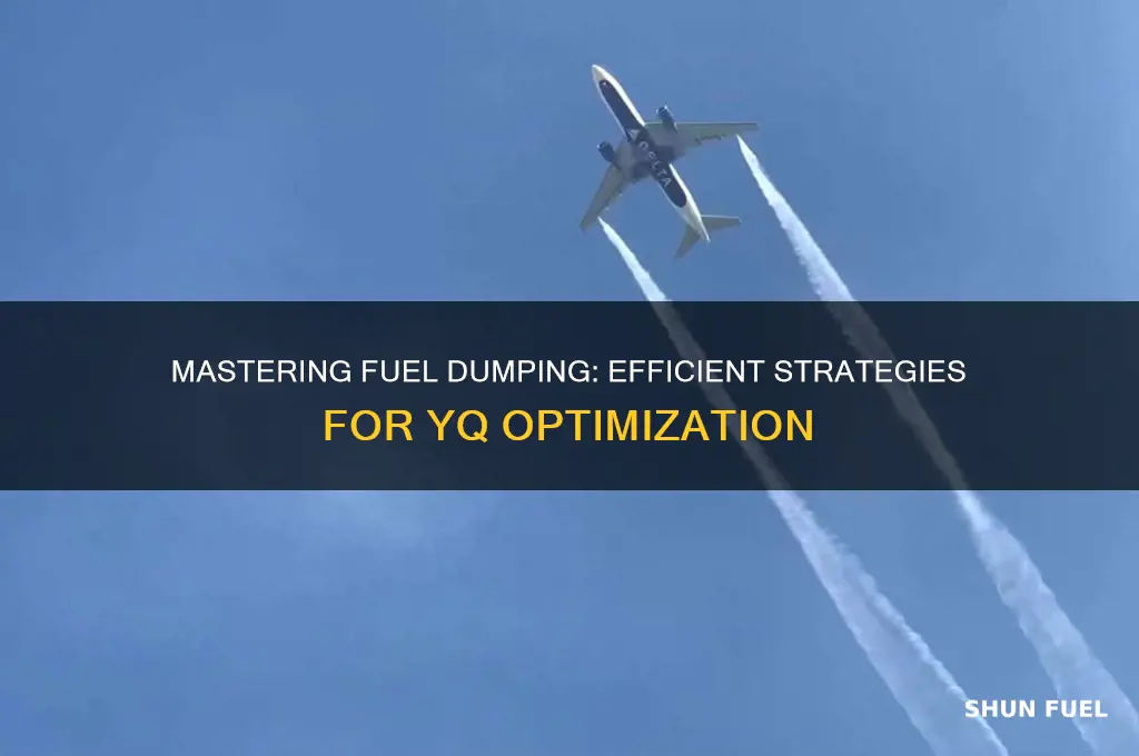 how to fuel dump yq
